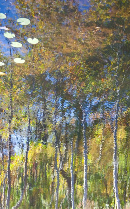 Reflection 8 by MICHAEL FILONOW