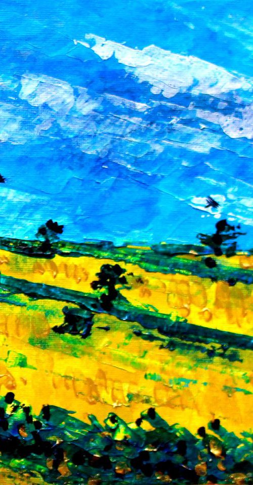 Summer Fields II by Paul J Best
