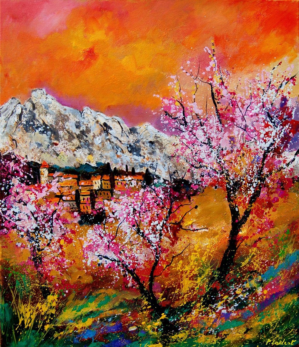 Blooming cherry trees in Provence 7623 by Pol Henry Ledent