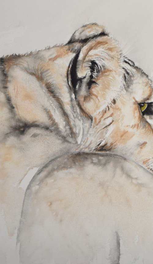 'Huntress' by Nicola Colbran