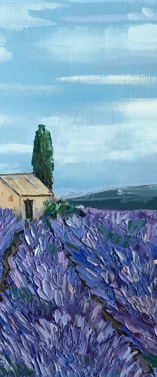 Provence Lavender field 100%Original Oil Painting by Leysan Khasanova