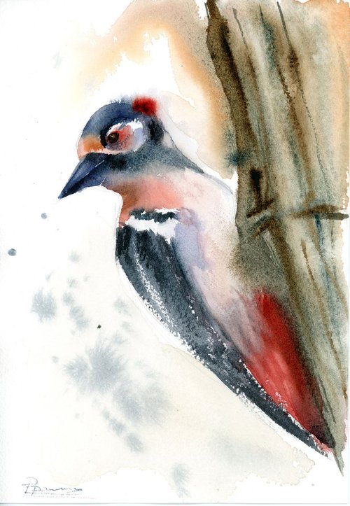 Woodpecker by Olga Shefranov (Tchefranov)