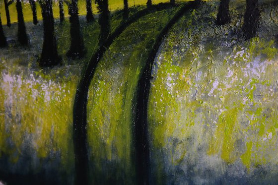Cherry  Trees