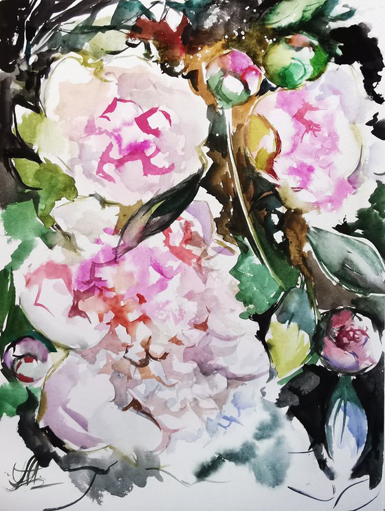 Peonies painting, Watercolor painting