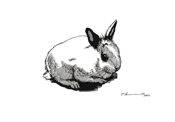 White Rabbit with Black Ears