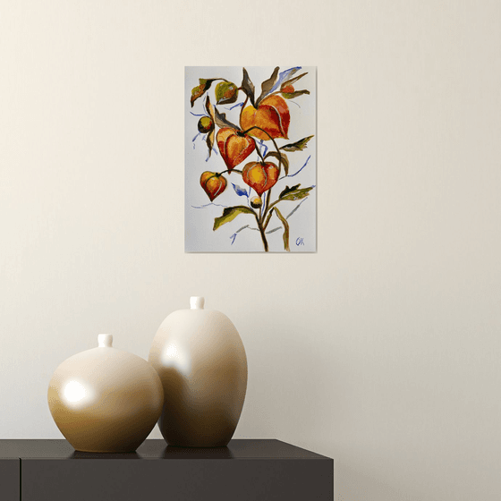Physalis