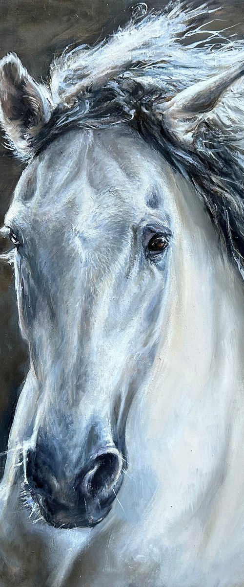 Andalusian horse by Una Hurst