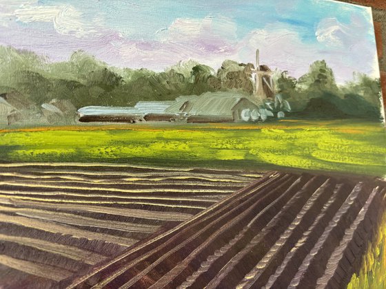 Plowed Field in Wachtum