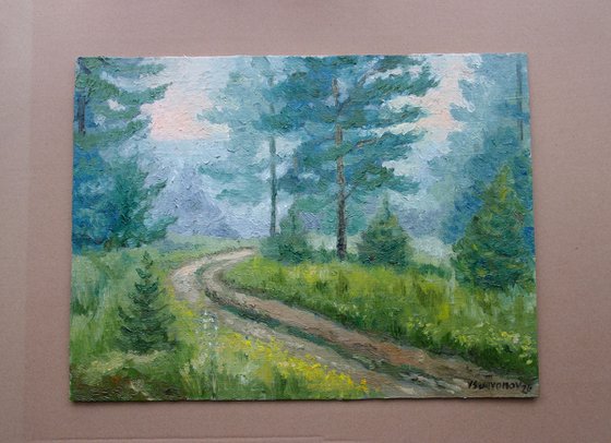 Morning In The Forest