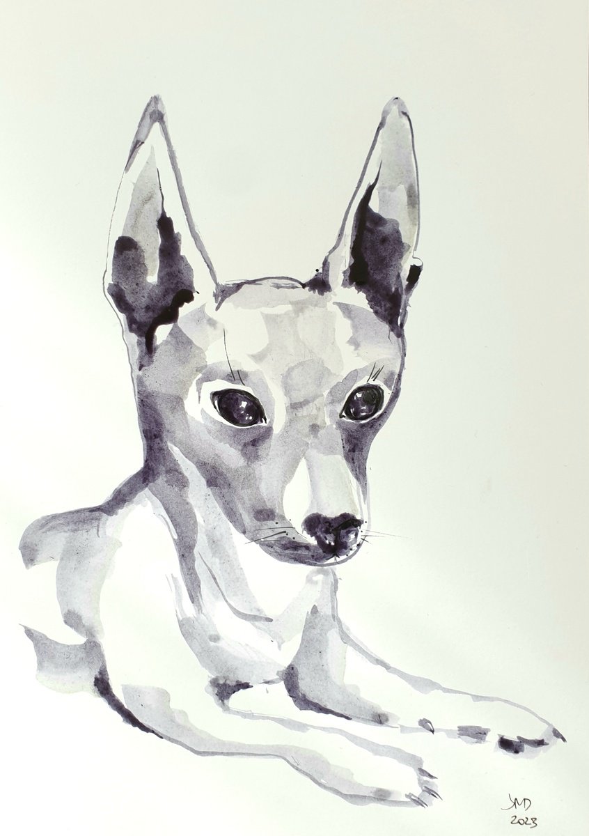 Small dog portrait by Ksenia June