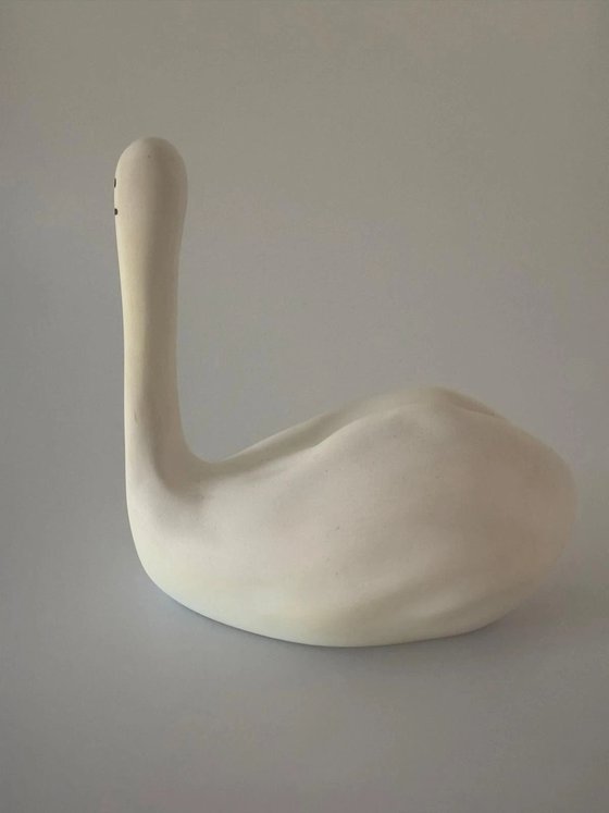 Swan