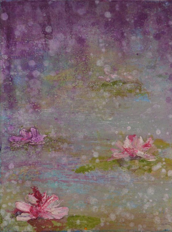 water lilies 3