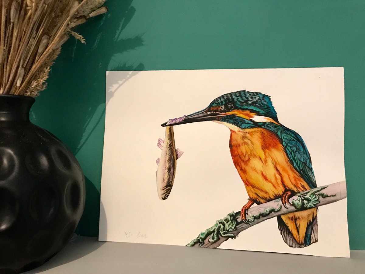 Photorealistic Animal Watercolour By Irsa Ervin, 12 X 9, King Of Fish, Original Artwork