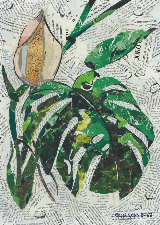 Monstera #2, collage