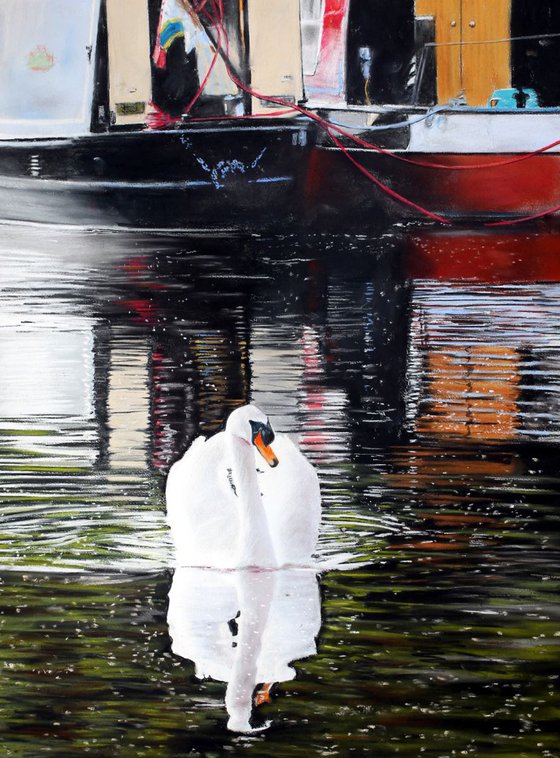 Swan on the Calder Canal