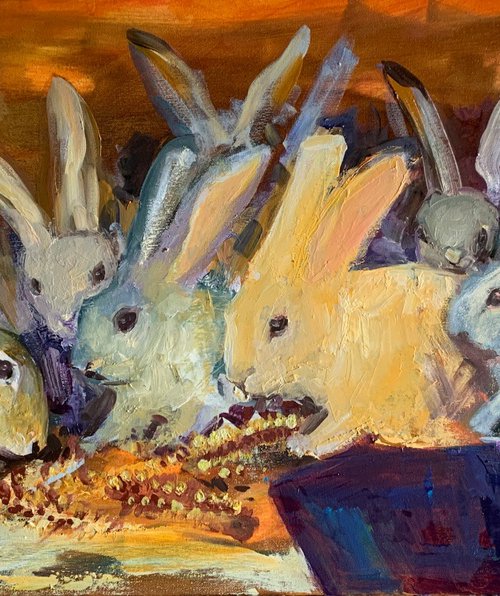 Rabbits by Olga Pascari