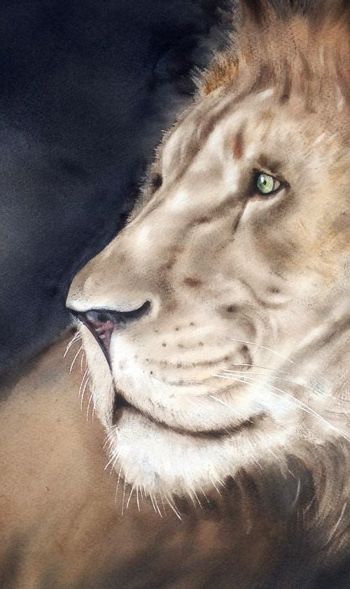 Wise Lion - Lion Portrait  - A by Olga Beliaeva Watercolour