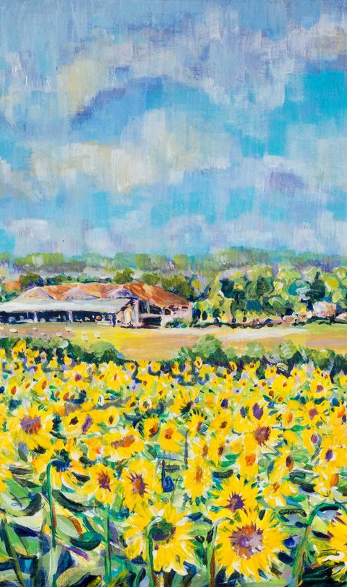 SUNFLOWERS IN GASCONY by Diana Aungier-Rose