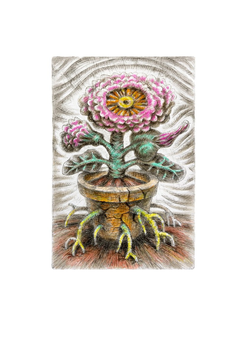 Illustrative Drawing , Flower By Oleksandr Korol, 8 X 11, Artwork For Sale On Artfinder