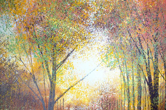Autumn Forest Trees 5