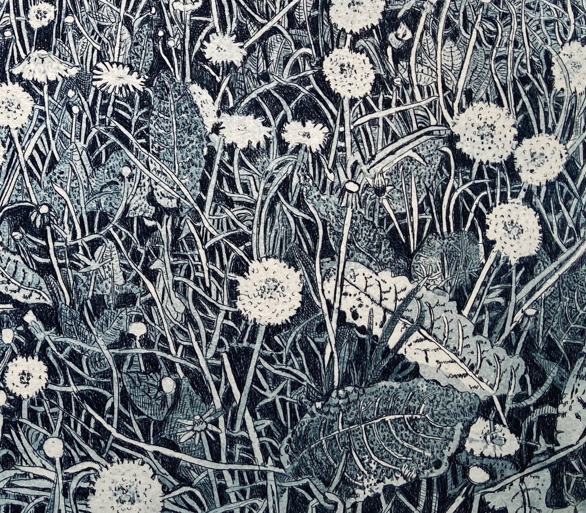 Illustrative Botanical Etchings & Engravings By Janis Goodman, 16 X 10, Watching The Clock, Original Artwork