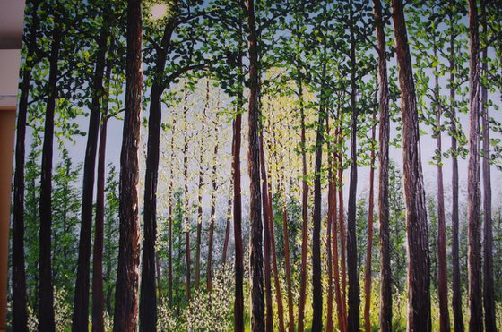 Autumn Forest Light
