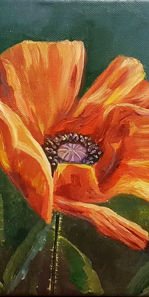 Lonely Poppy by Diana Janson