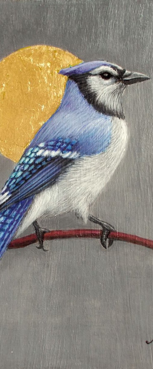 "Blue jay" by Tatyana Mironova