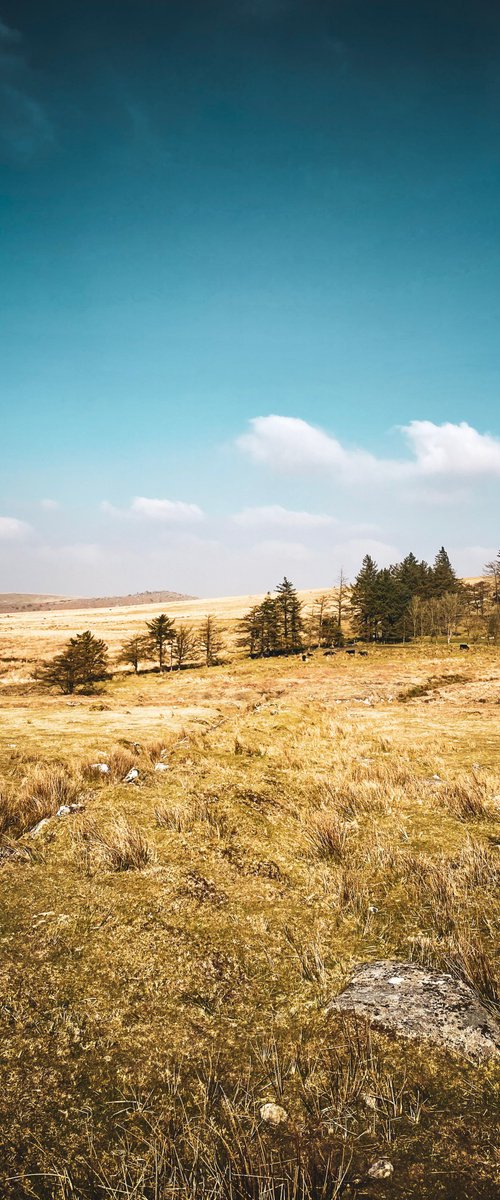 Dartmoor 2021 01 - A4 by Kerry Gerdes