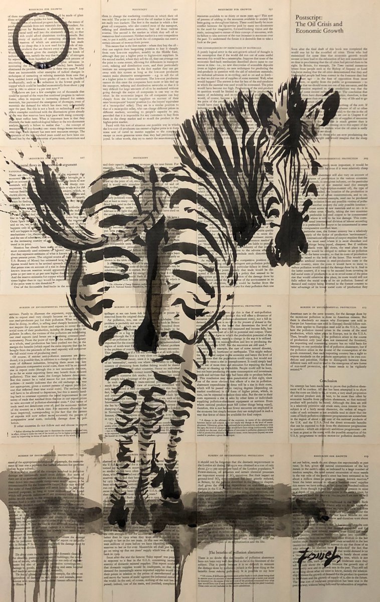 Zebra 005 by H.Tomeh