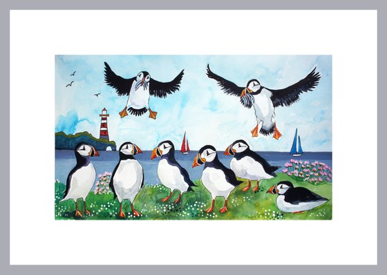 Puffins