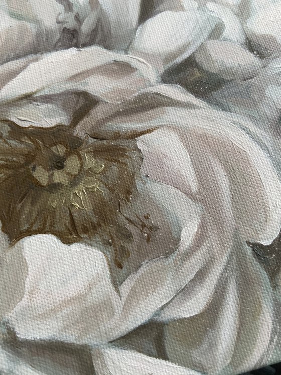 PEONIES DIPTYCH