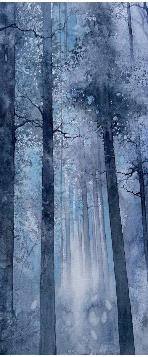 Winter mood by Nazar Grunyka