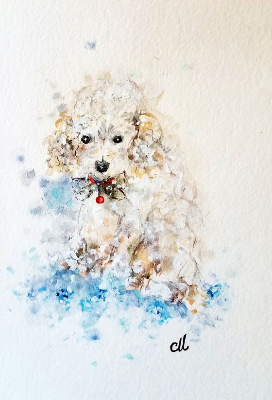 Puppy cuteness..