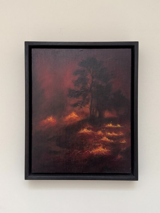 Wildfires (IV)