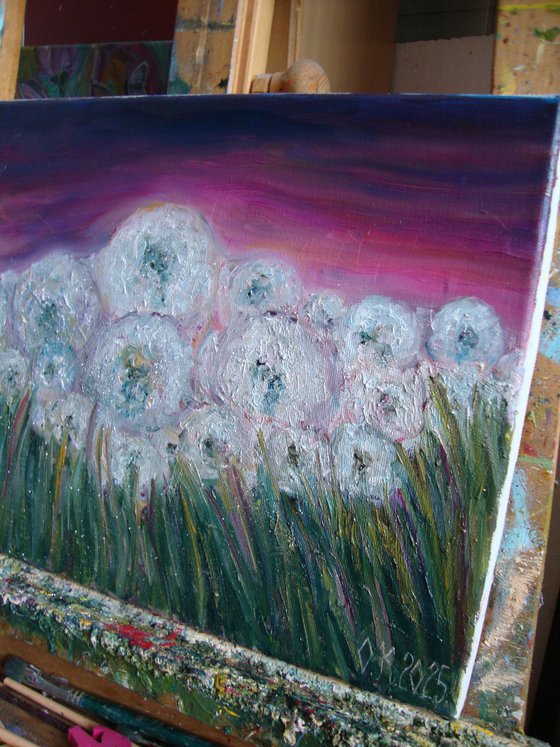 Field of dandelions