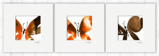 Butterfly Joy Collection 9