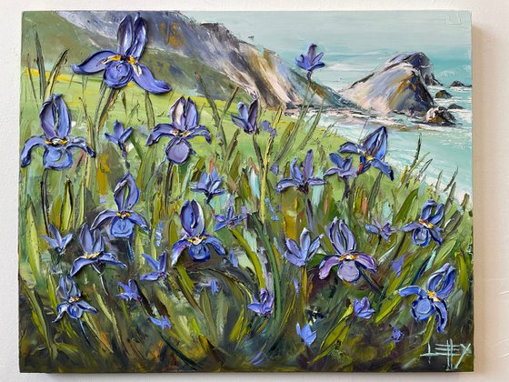 Pacific Coast Irises