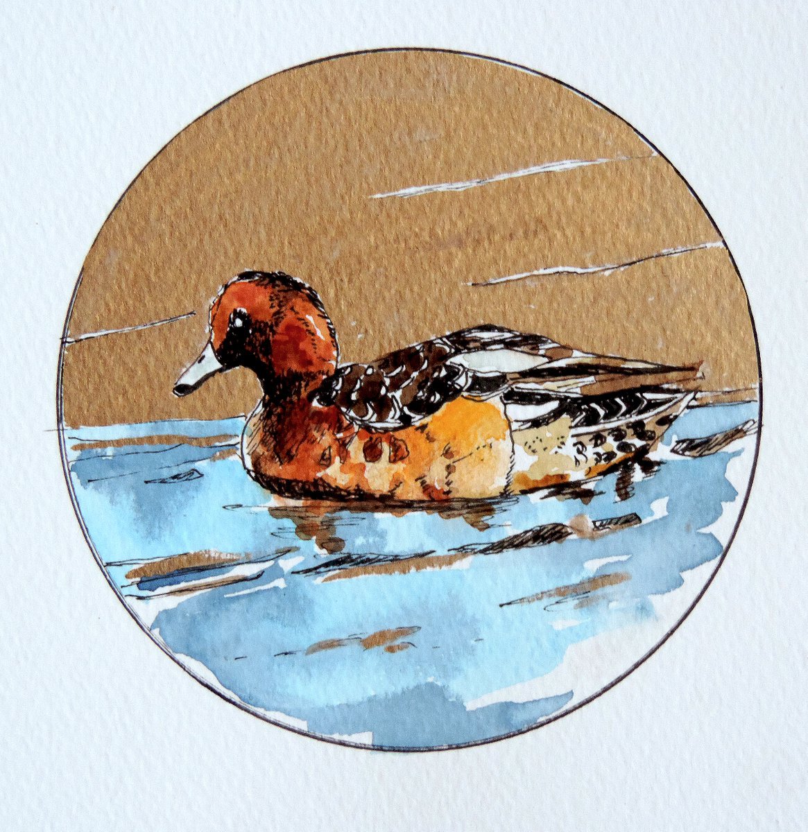 Wigeon by the Shore by Sheila Chapman