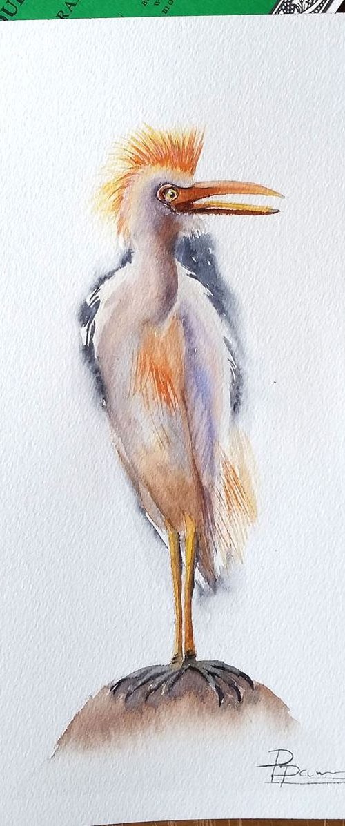 Cattle Egret ORIGINAL Watercolor Painting by Olga Tchefranov (Shefranov)