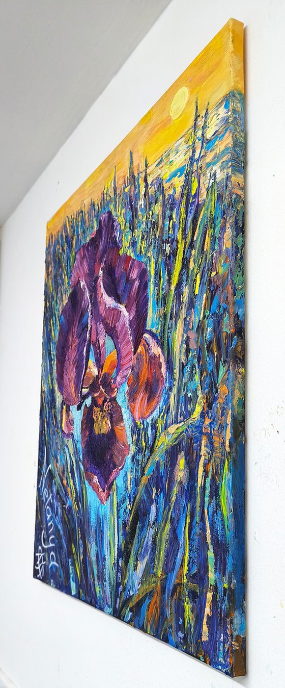 Purple Iris at Sunset