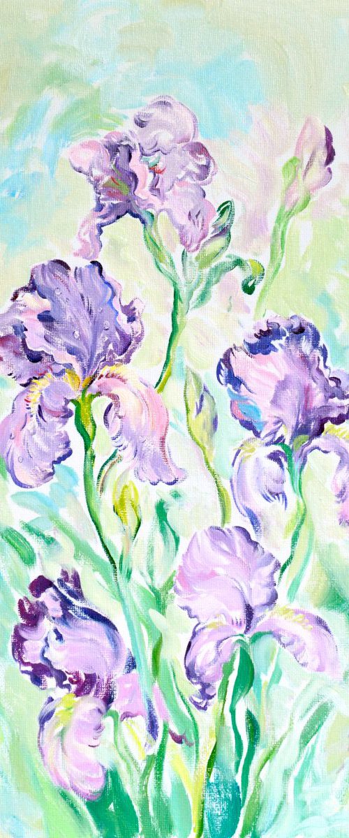 Violet Irises by Daria Galinski