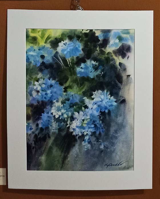 Plumbago flowers