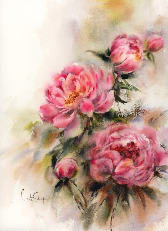 Pink Peonies