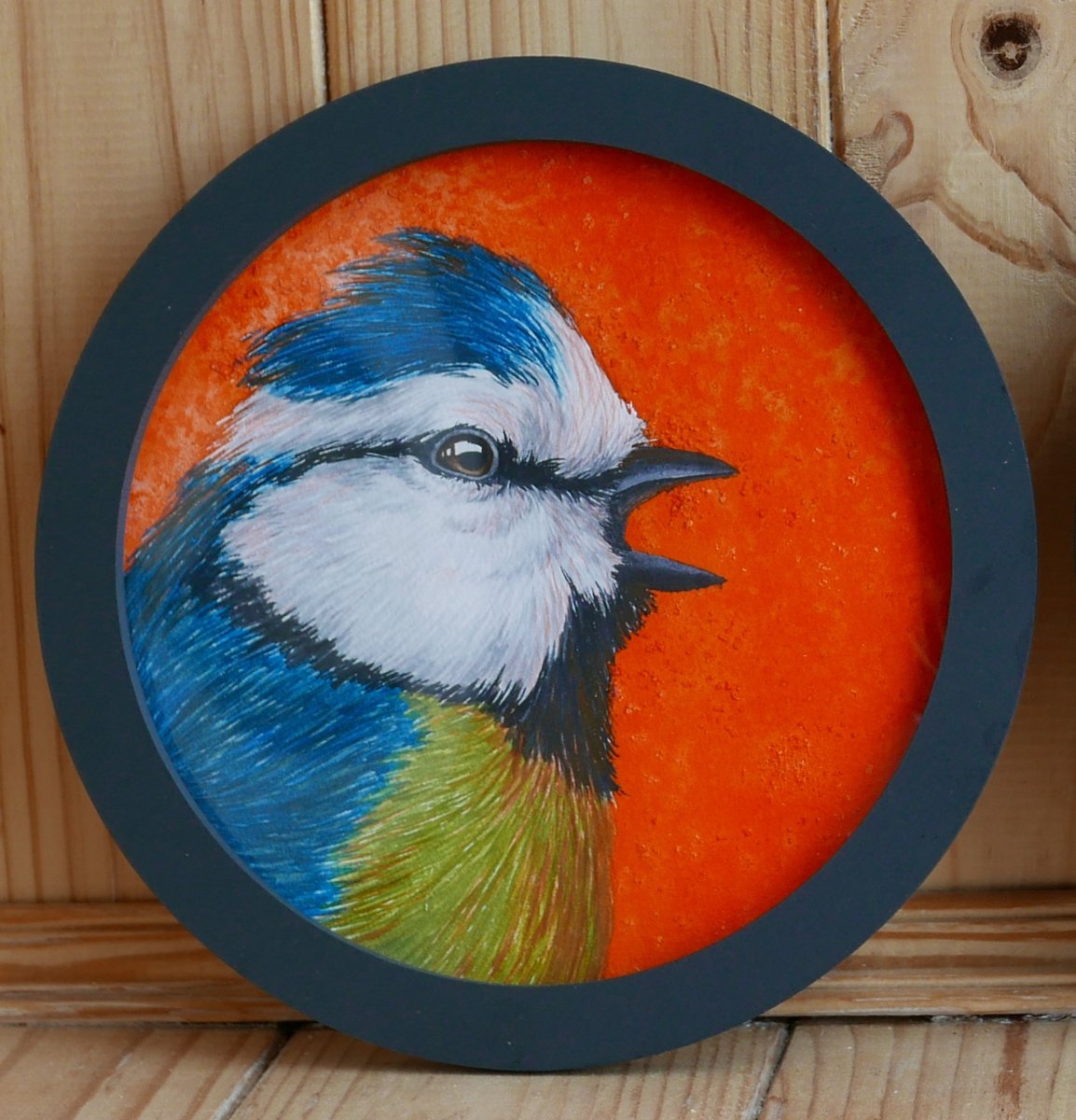 Blue tit with orange background by Karina Danylchuk