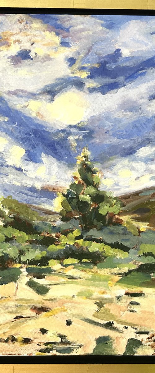 Sky Walk by Annette Wolters