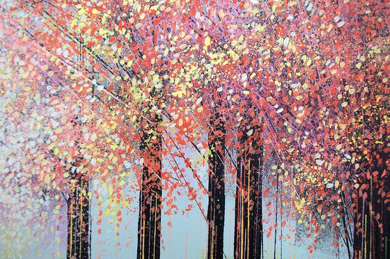 Light Through Spring Blossom Trees