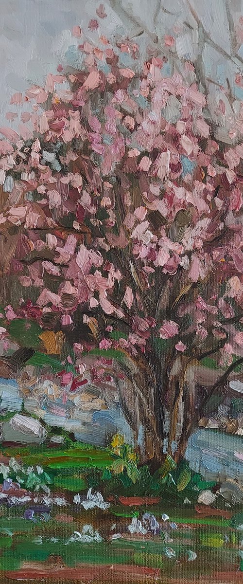 SPRING LANDSCAPE "Blooming tree" by Olena Kolotova