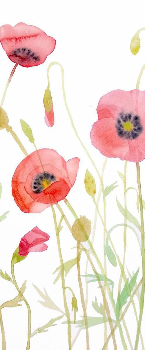 Wild Poppies by Olga Beliaeva Watercolour