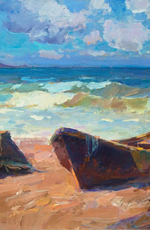 The Fisherman's Coast by Aleksandr  Kryushyn